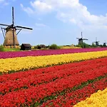 Konukevi Logeren Op Dijk43 4*