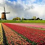 Logeren Op Dijk43 4*