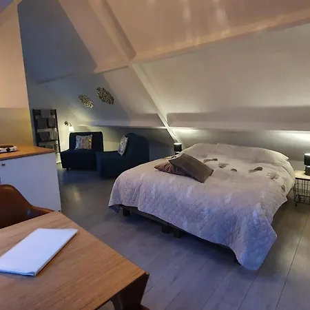 בית הארחה Logeren Op Dijk43