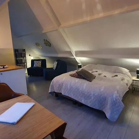 Logeren Op Dijk43 Гостевой дом 4*